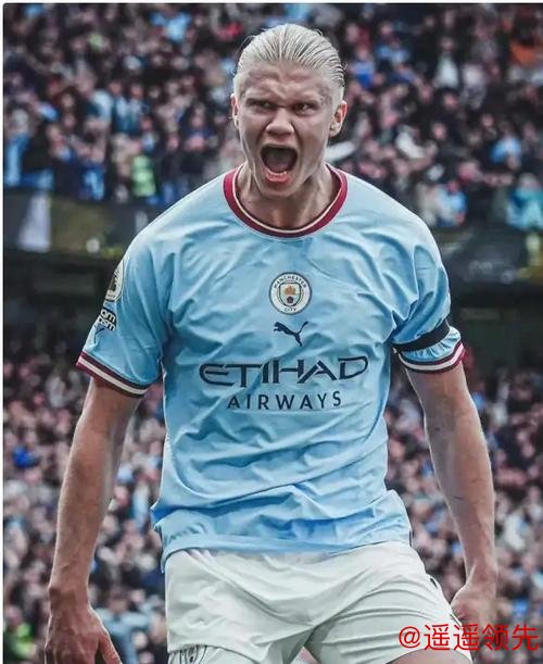 高效哈兰德征服多特球迷 德国媒体：多特梦重启