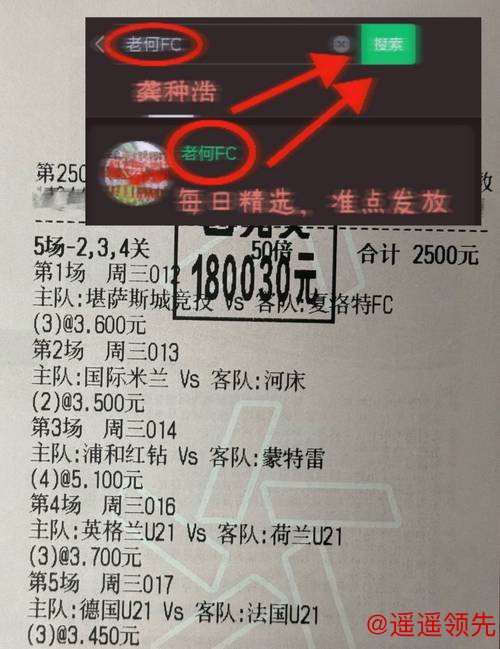 全面解析世界杯买球分析入口地址