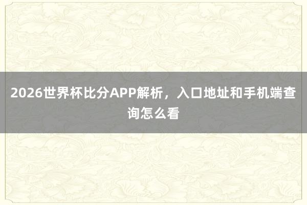 2026世界杯比分APP解析，入口地址和手机端查询怎么看